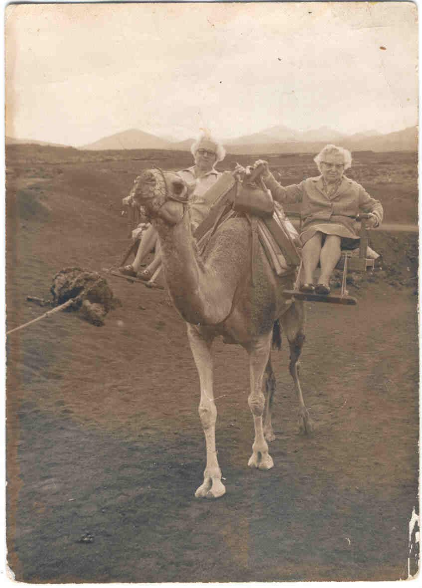 Lamm de Altschul (right; aged 100) and her daughter Ines (left) riding a camel. (Source: Gerontology Wiki)
