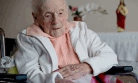 (Source: Gerontology Wiki)