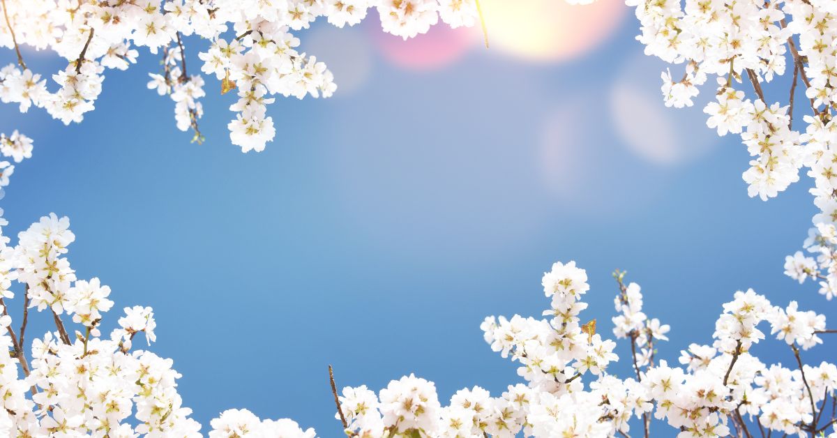 Naomi Whitehead LongeviQuest