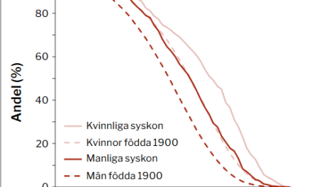 Lindberg Research Paper Image 1