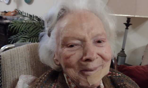 Alice Faber de Freitas Leitão