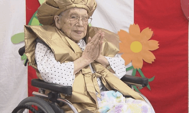 Toku Shishido (宍戸とく)