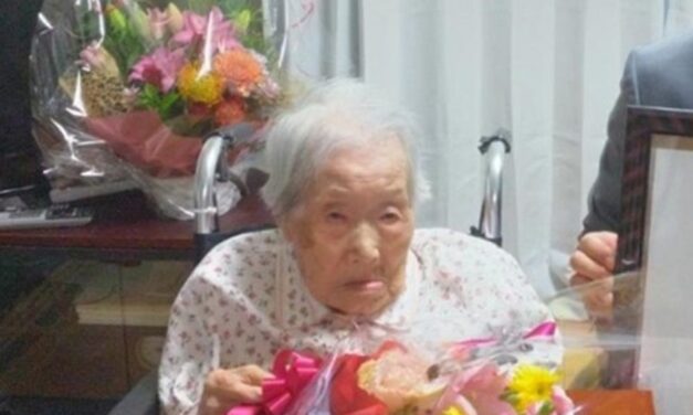 Shizuka Yamazaki (山崎靜)