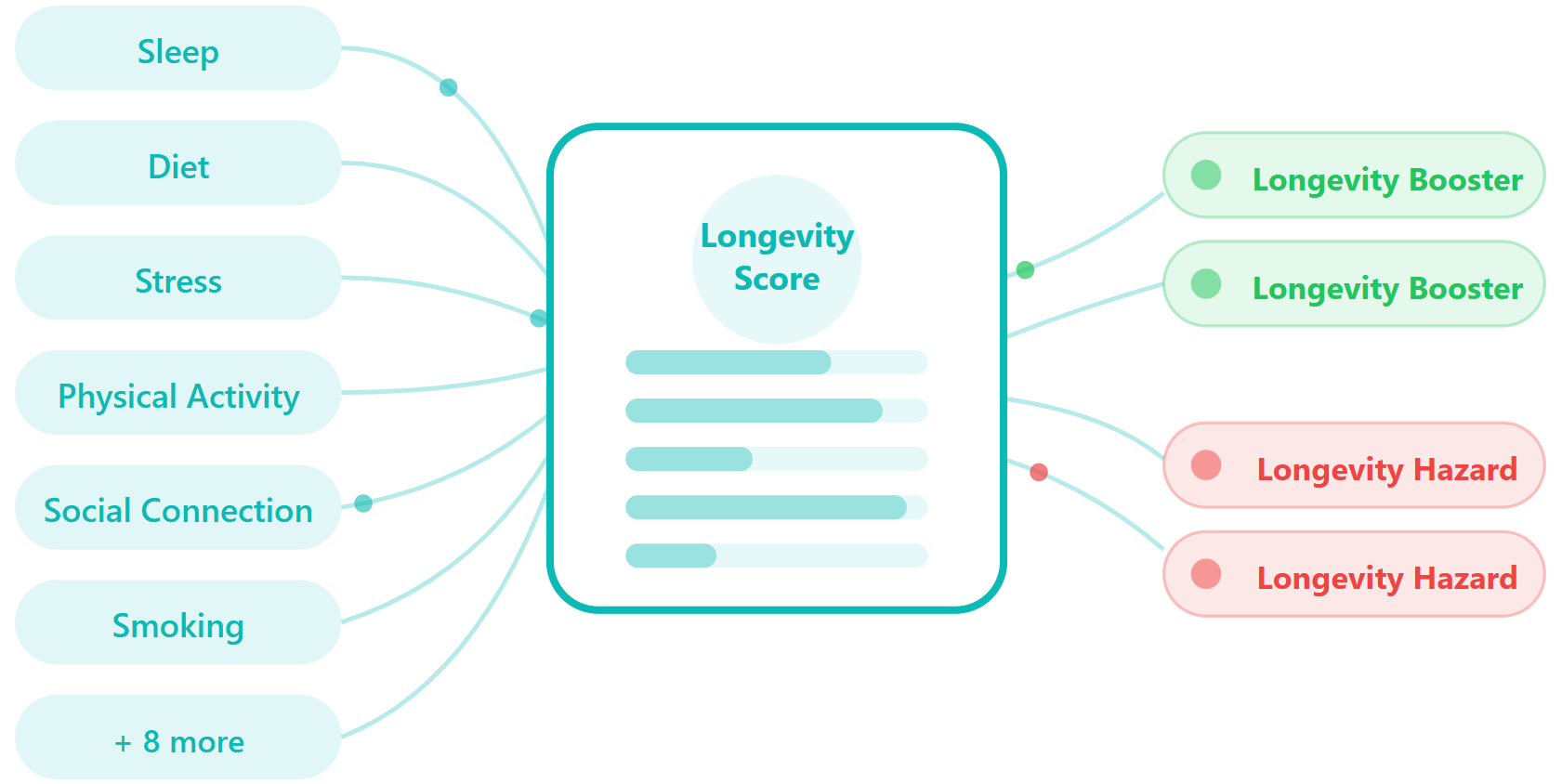 Longevity quiz diagram showing lifestyle factors like sleep, diet, and stress flowing into your personalized Longevity Score with Boosters and Hazards