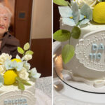 Brazilian Woman Dalcisa Bozzi Carvalho Turns 110