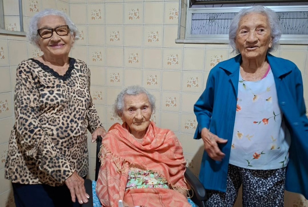 Zoraide (104), Levita (108), and Zulina (103)